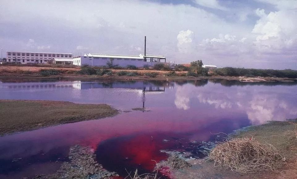 污水處理地方排放標準與污水處理行業標準按照哪個來？-樂中環保