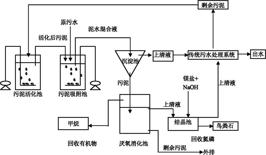 廢水排放的生物學指標 廢水排放的生物學指標