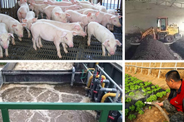 養殖污水處理一體設備多少錢？養殖污水處理方法