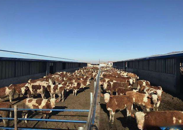 養殖場污水直接排放會面臨哪些處罰？JPEG.2