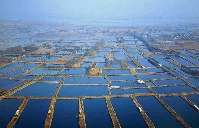 一次性說清楚水產養(yǎng)殖廢水的主要處理工藝