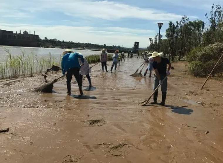 清淤的淤泥怎么處理(淤泥土用什么技術處理) 清淤的淤泥怎么處理(淤泥土用什么技術處理)