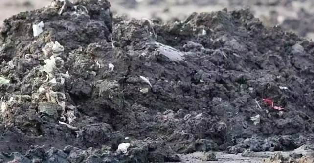 污水處理廠(chǎng)污泥脫水間（污泥脫水車(chē)間工作原理）