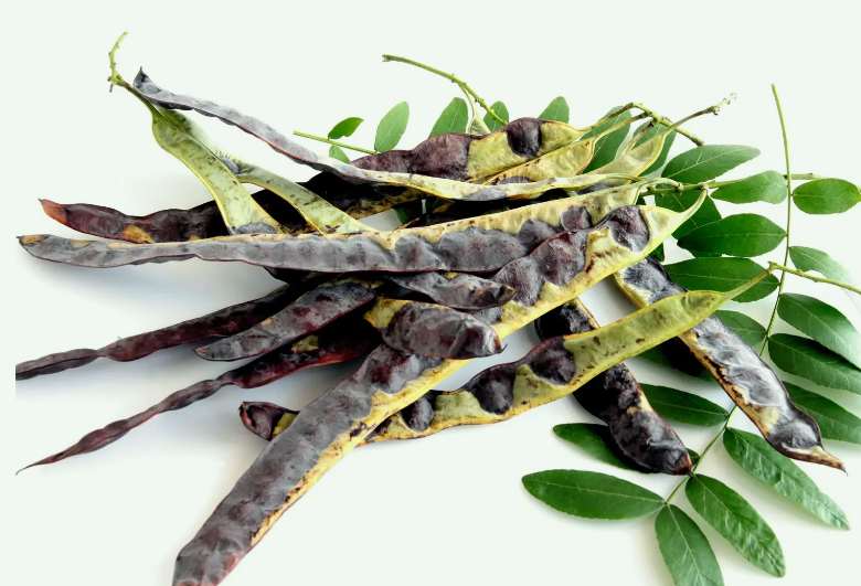 皂腳和皂角的區別是什么（皂腳和皂角一樣嗎？）