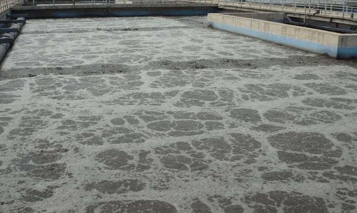 生物接觸氧化法優(yōu)缺點(diǎn)分別有哪些(生物接觸氧化法處理污水效果) 生物接觸氧化法優(yōu)缺點(diǎn)分別有哪些(生物接觸氧化法處理污水效果)