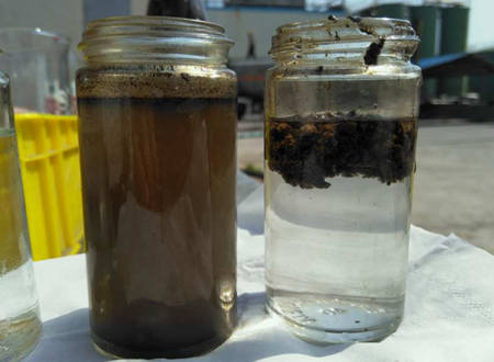 AO工藝出水SS高什么原因|怎么辦？